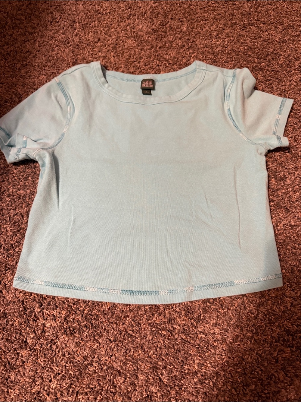 wild fable Light Blue Crop Tee